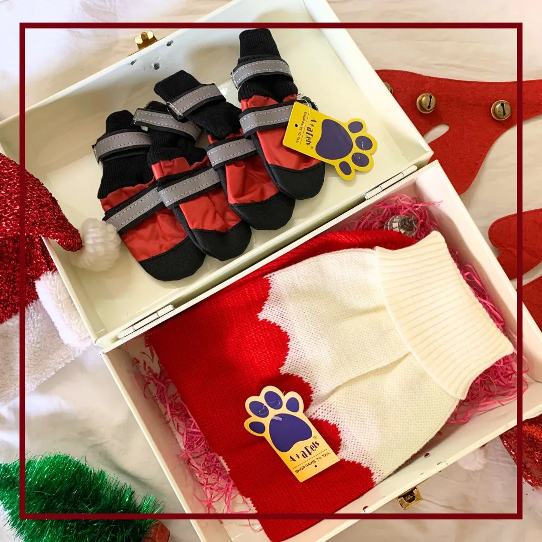 A a Pets' Goodie Box of (2) for Dogs and Cats: Cozy Knitted Flannel Sweater & Boots