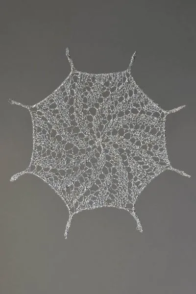 A Universe of Snowflakes