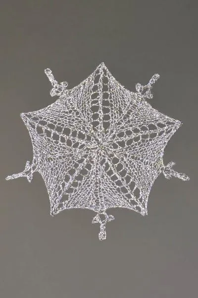 A Universe of Snowflakes