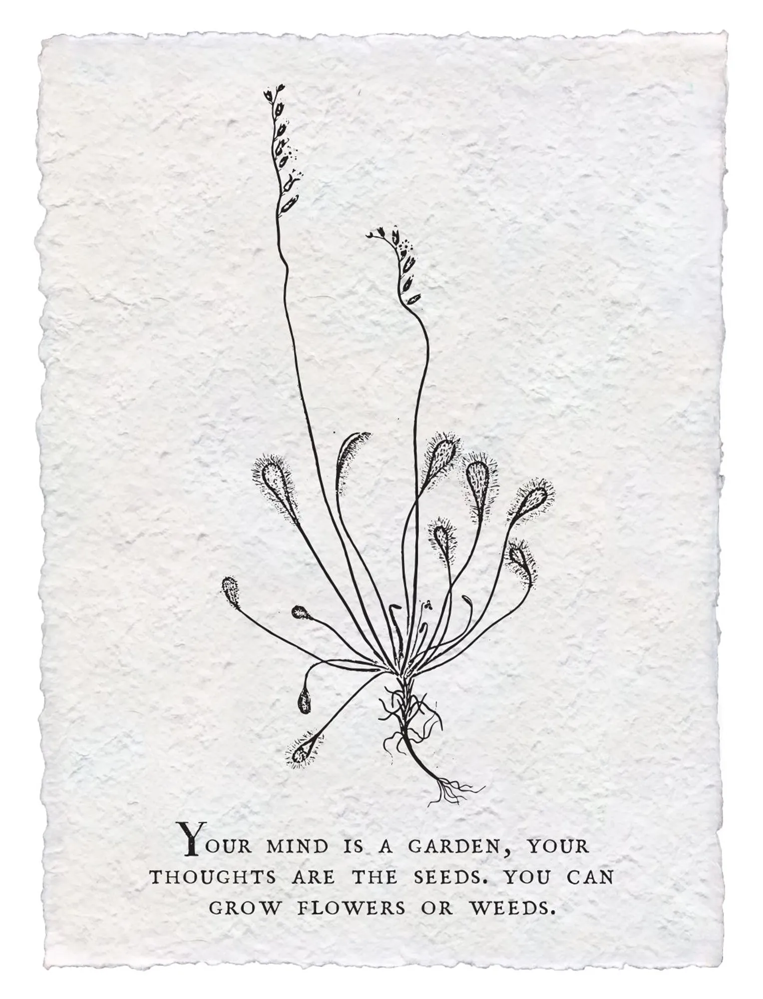 Botanical Print on Hand Made Paper