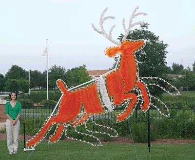 Custom Commercial Animated Reindeer  (1224-N)