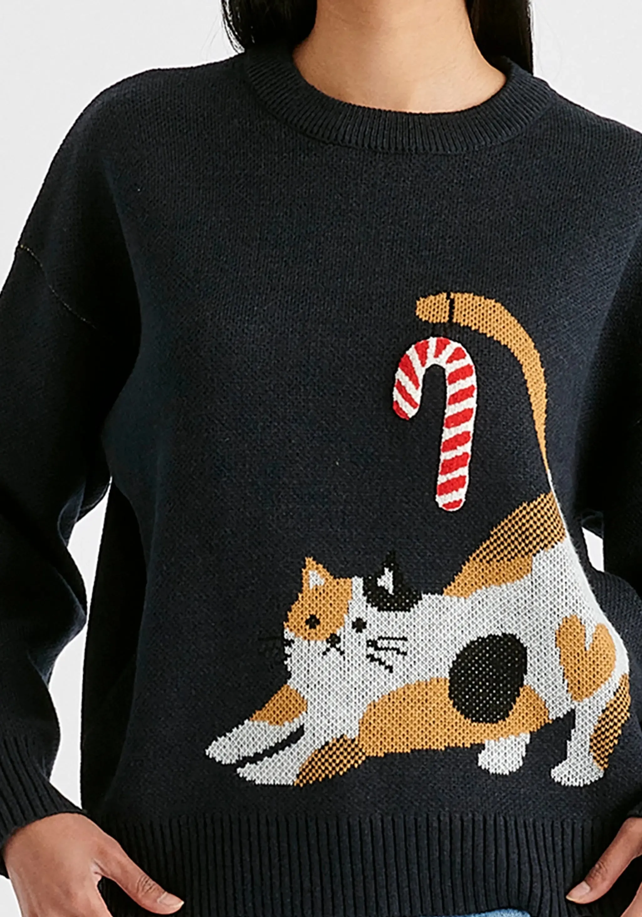 Navy Christmas Jumper With Cat and Candy Cane